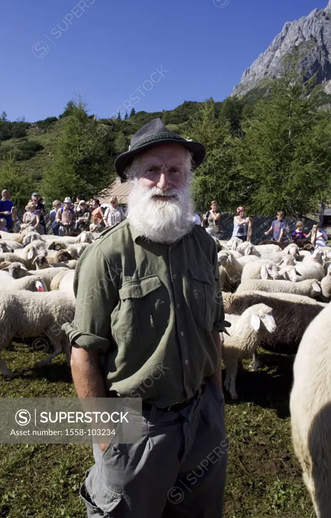 Austria, Salzburg, Tennengebirge, Mitterfeldalm, sheep herd, fenced in, Sheep shepherd, detail, , Mountains, Alm, Almbetrieb, pen, man, shepherd, seni...
