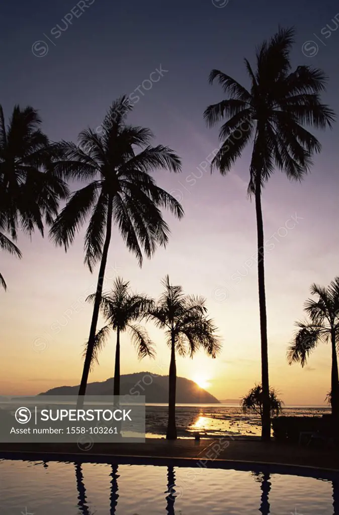 Thailand, Phuket, beach, palms,  Silhouette, sunset,   Asia, southeast Asia, island, destination, destination, sea, Andamanensee, Indian ocean, evenin...