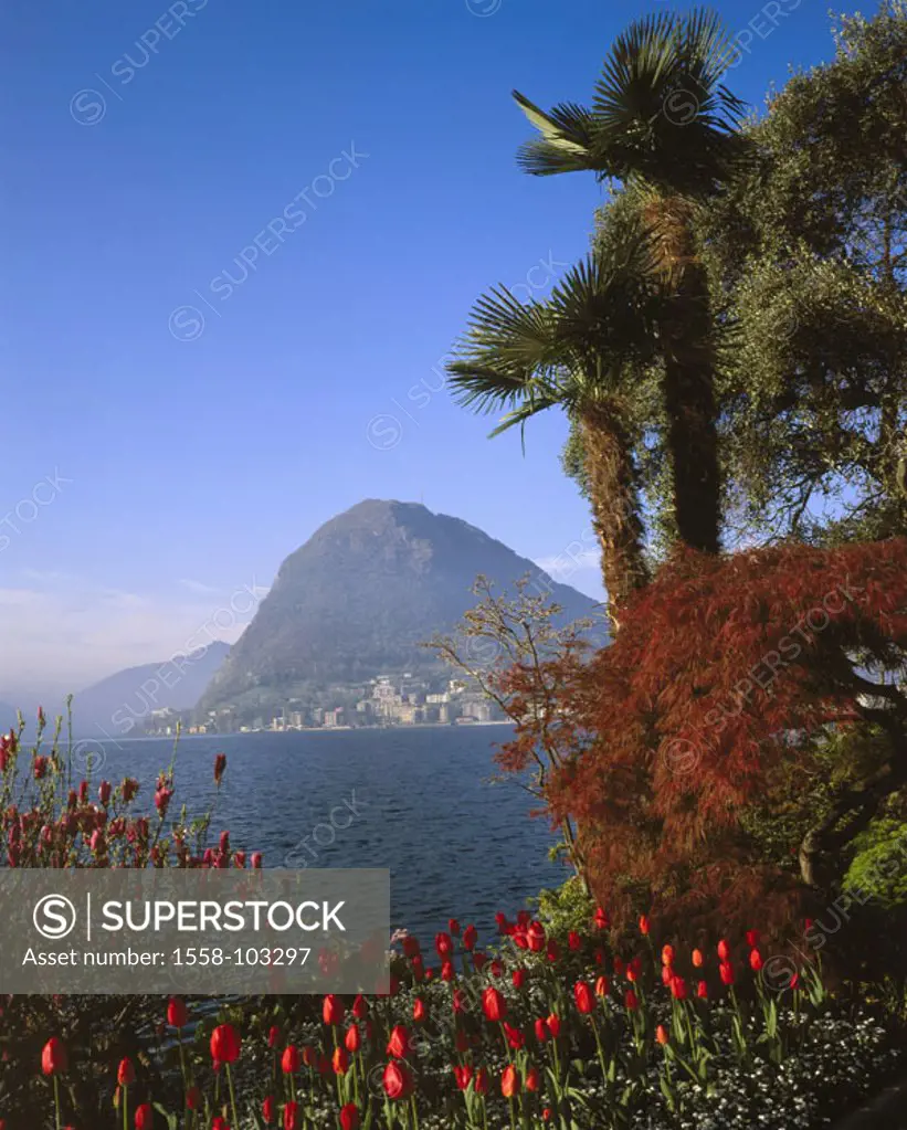 Switzerland, Tessin, Lugano, Parco,  Civico, Luganer sea, gaze, Monte,  San Salvatore, Tessiner Alps, Lugano-Stadt, park, lake view, city, view at the...