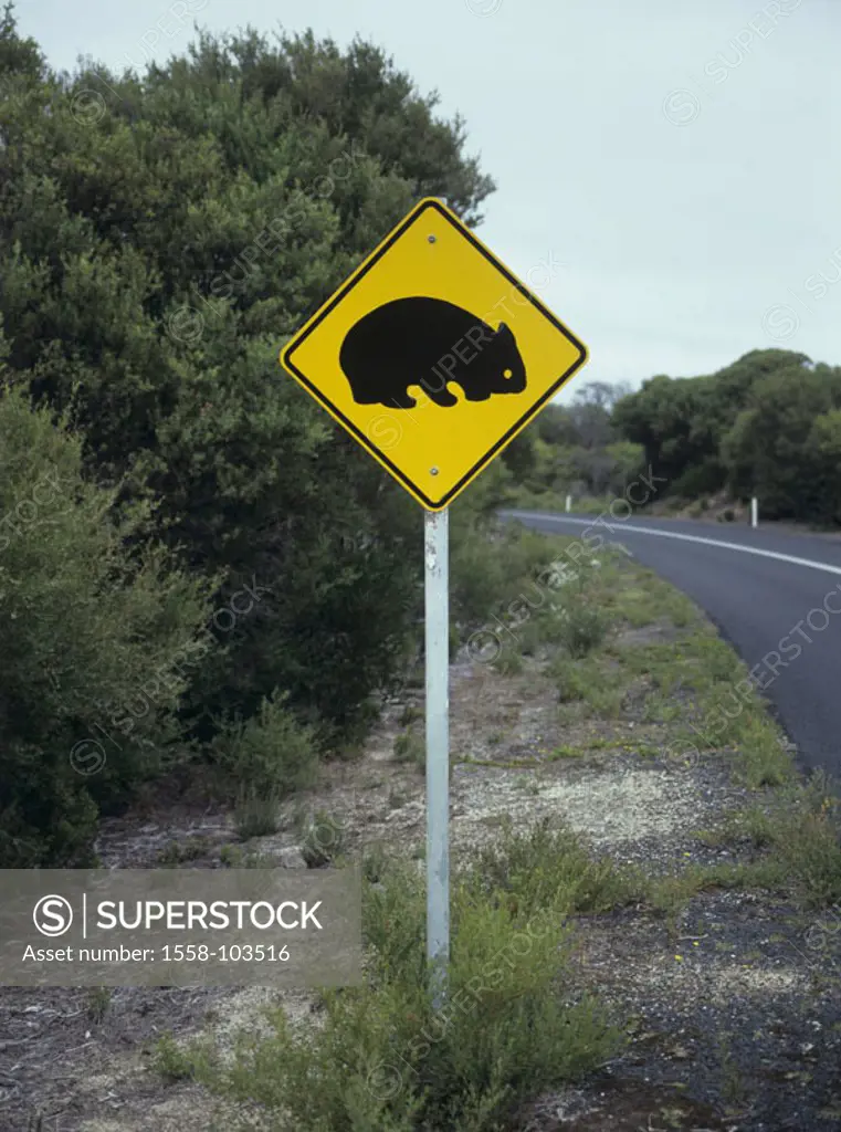 Australia, street, warning sign, respect, Wombads