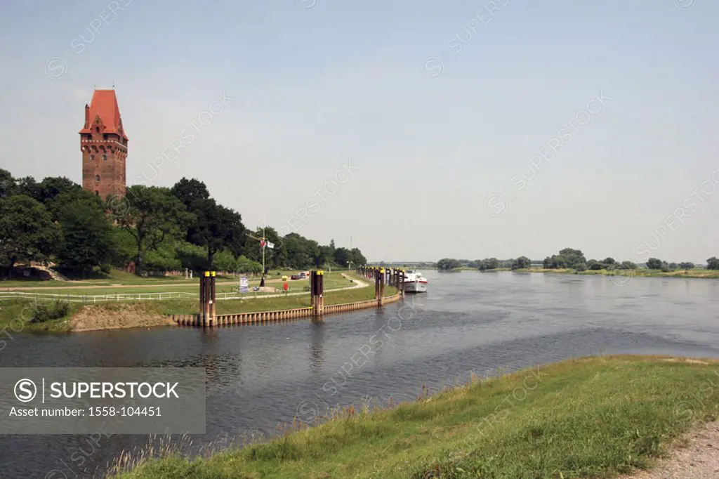 Germany, Saxony-Anhalt,  Tangermünde, chapter tower, summer,   River country sheep, river, Elbe, Elbufer, keep, defense tower, silos of the Berlin Dom...