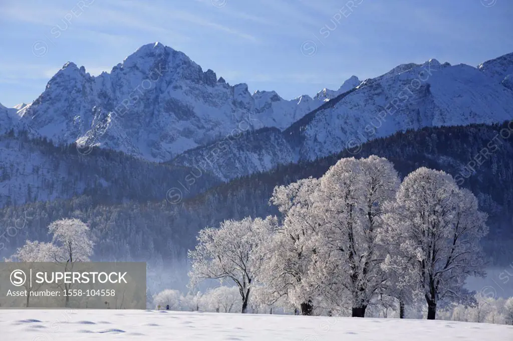 Germany, Allgaeu, Tannheimer Alps, winters,   Southern Germany, Bavaria, king corners, mountains, mountains, mountain , highland, nature, silence, sil...