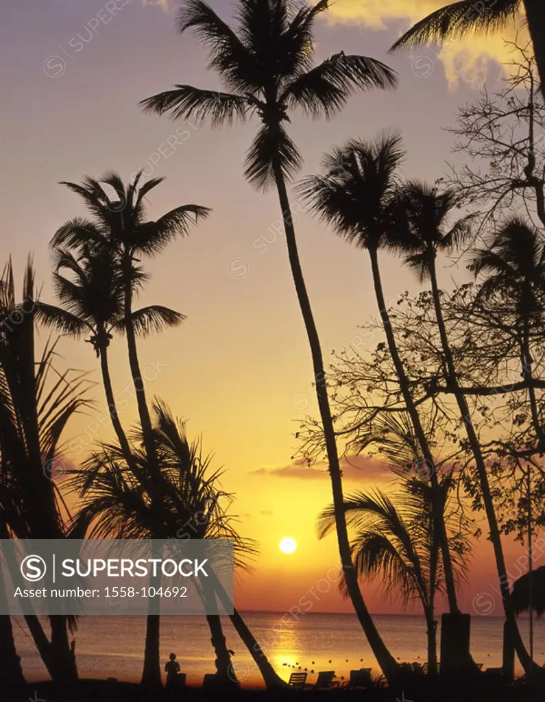Dominican republic, Bayahibe,  Palm beach, sunset,   Caribbean, West Indian islands, big Antilles, North coast, beach, beach, palms, evening mood, sil...