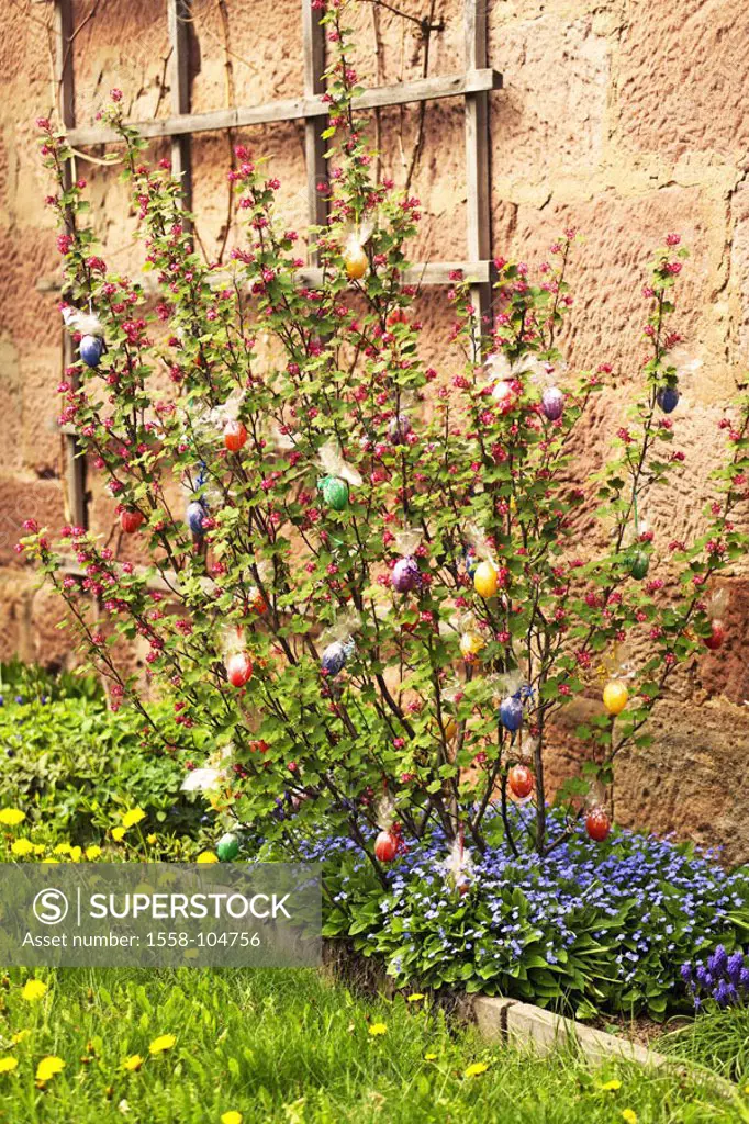 House wall, flowers, plants, trellis, Osterdekoration
