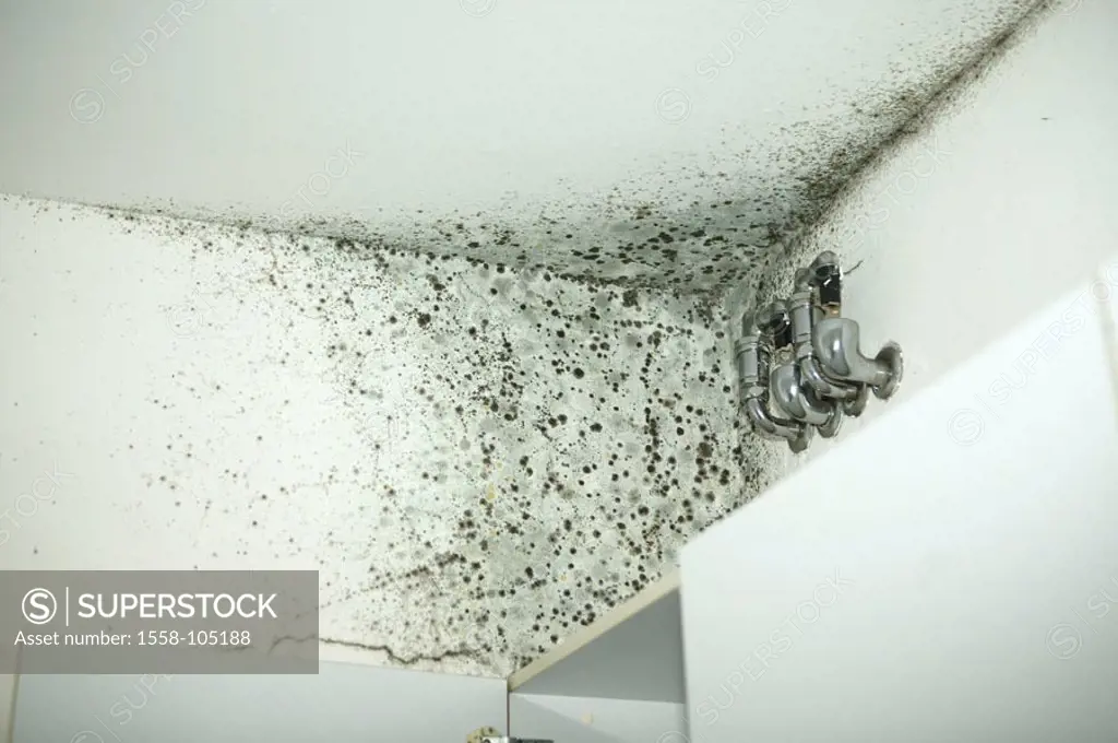Kitchen, wall, blankets, detail, mold,    Rooms, area, wall, mold attack, mold spores, fungi, moisture, wetness, ground, health risk, symbol, isolatio...