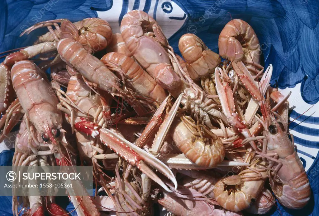 Scampis, catch-newly, uncooked,    Emperor garnet, Nephrops norvegicus, sea bulls, crustaceans, crustaceans, cancer animals, newly, roughly, food, fac...