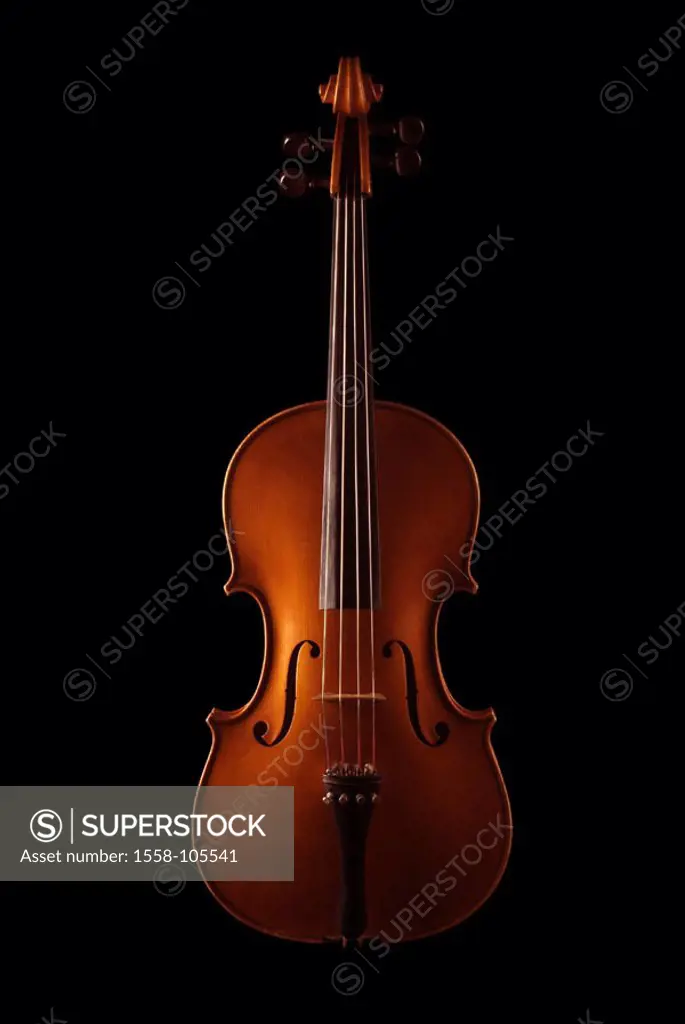 Music instrument, violin,    Series, instrument, string instrument, string instrument, violin, half violin, treble instrument, resonance bodies, strin...