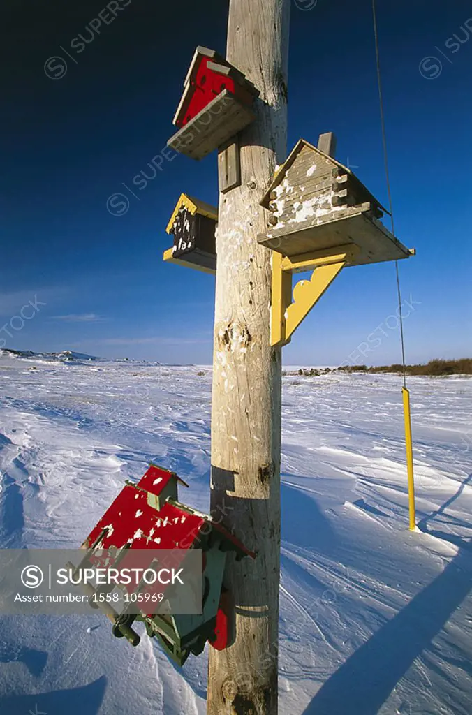 Canada, Iles de la Madeleine winter-landscape wood-masts Nistkästen North America, Magdalen Iceland, landscape, snow-covered, mast, wood-post, little ...