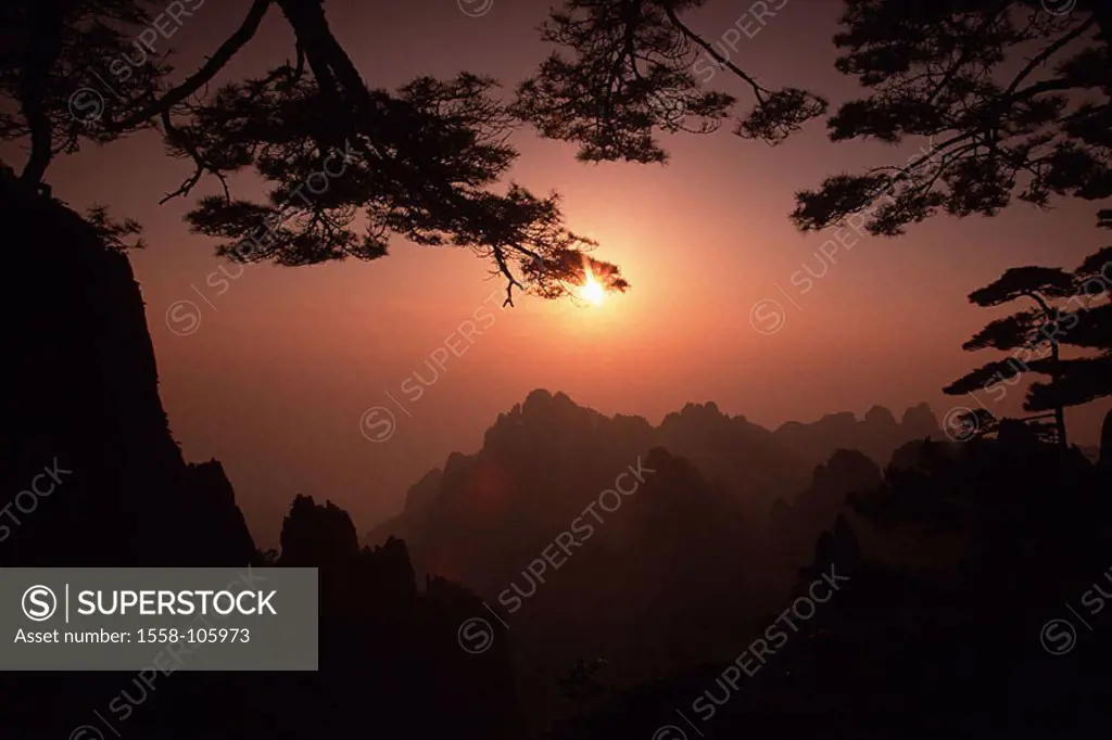 China, province Anhui, Huangshan mountains, forest, Huangshan pine, Pinus hwangshanensis, sunset, series, Asia, Eastern Asia, conservation-area, mount...