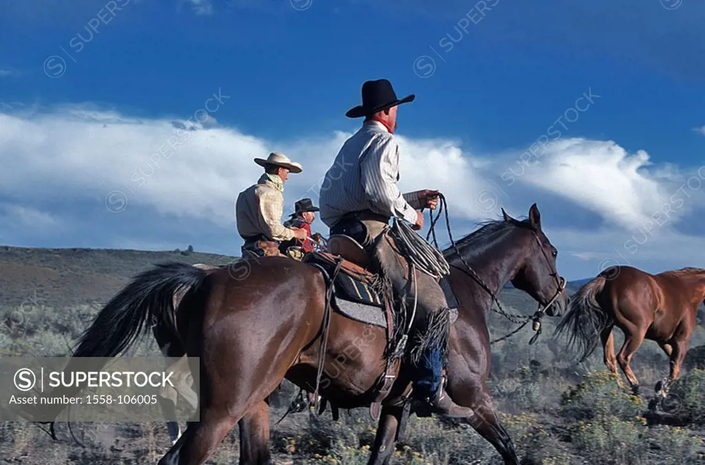 USA, Oregon, cowboys, horses, game-horses, ride catches, North America, landscape, farm-country, men, riders, ranchers, stockmen, drovers, horses, Rei...