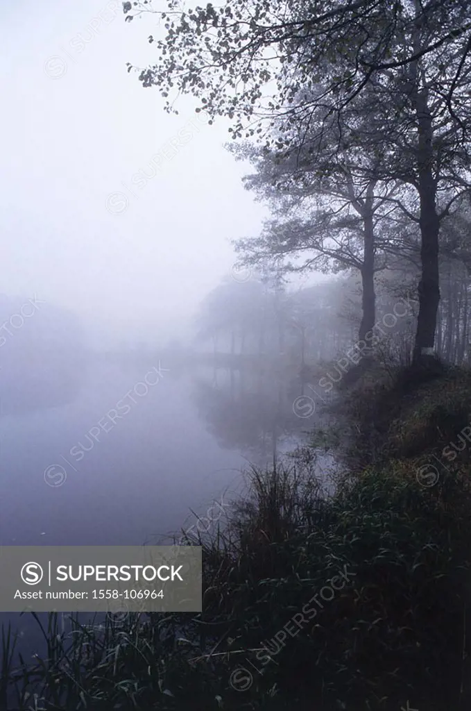 Czech republic, close to Telc, forest-sea, fog sea shores trees forest, mist, morning-mood, dawns, morning-fog, dismally, mysterious, dismal, human-em...