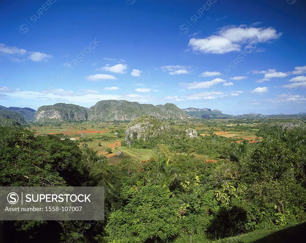 Cuba, Vinales valley, cloud-heavens, Central America, highland-shaft, mountains, fields, forest, trees, palms, nature, habitat, ecology, summers,