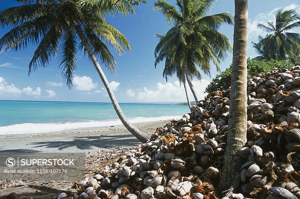 Cuba, Baracoa, palm-beach, coconuts, peels, piled up, Central America, East coast, beach, sandy beach, palms, coconut-peels, coconut-husks, fruit-cove...