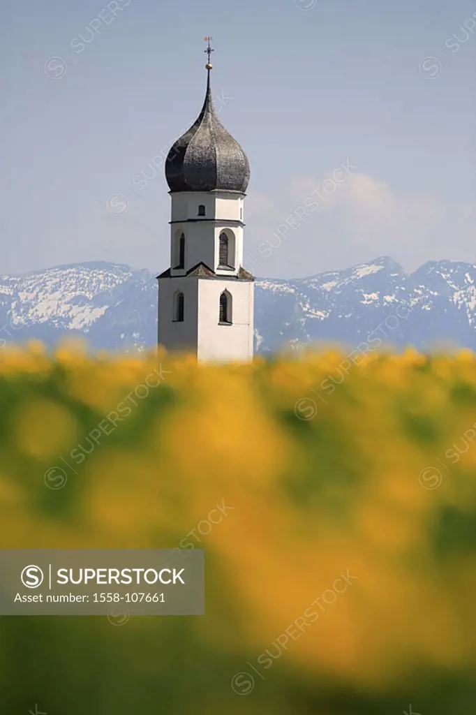 Germany, Bavaria, Antdorf, steeple, detail, spring-flower-meadow, Benediktenwand, spring, Southern Germany, church, parish-church, tower, meadow, flow...