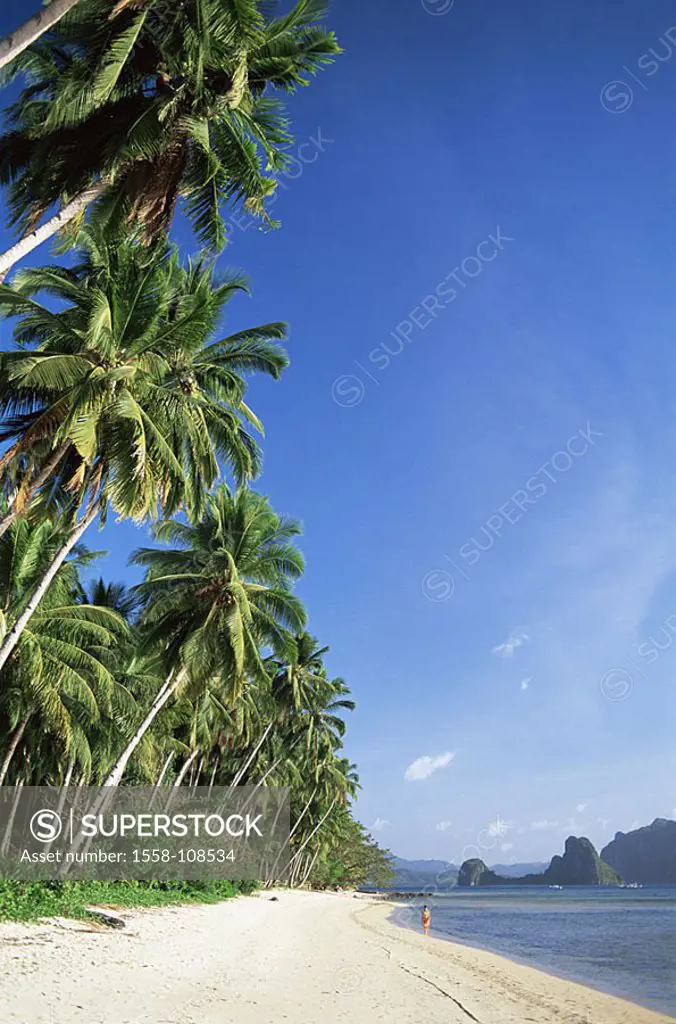Philippines, island Palawan, Bascuit Bay, El Nido, beach, Asia, Visayainseln, palms, palm-beach, sea, ocean, destination, sandy beach, recuperation, r...