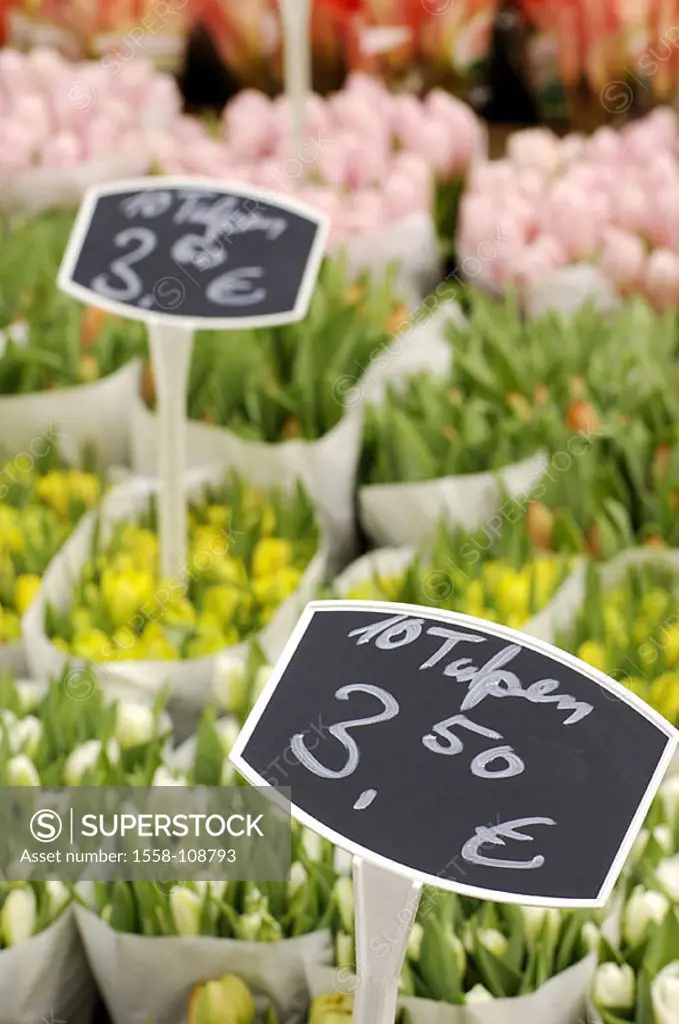 Flower-market, cut-flowers, price-signs, detail, market, market-stand, flower-stand, flowers, tulips, spring-flowers, signs, price, Euro, sale, retail...