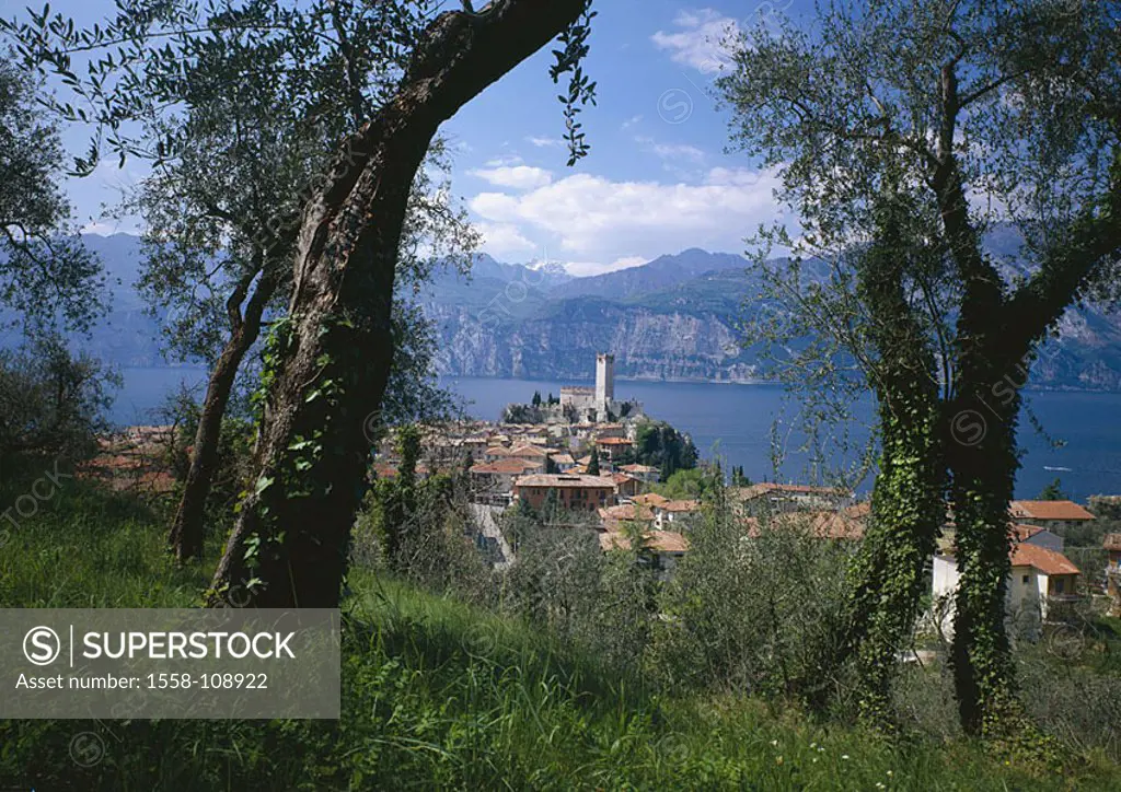 Italy, Veneto, Malcesine, city-opinion, Gardasee, Europe, North-Italy, destination, place, sight, Scaligerburg, castle, castle-tower, 13  Jh , trees, ...