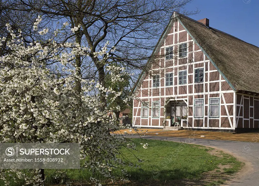 Germany, Lower Saxony, Neu-Wulmstorf, timbering-house, tree, blooms, knows, Northern Germany, Alto Land, Rübke, house, buildings, architecture, timber...