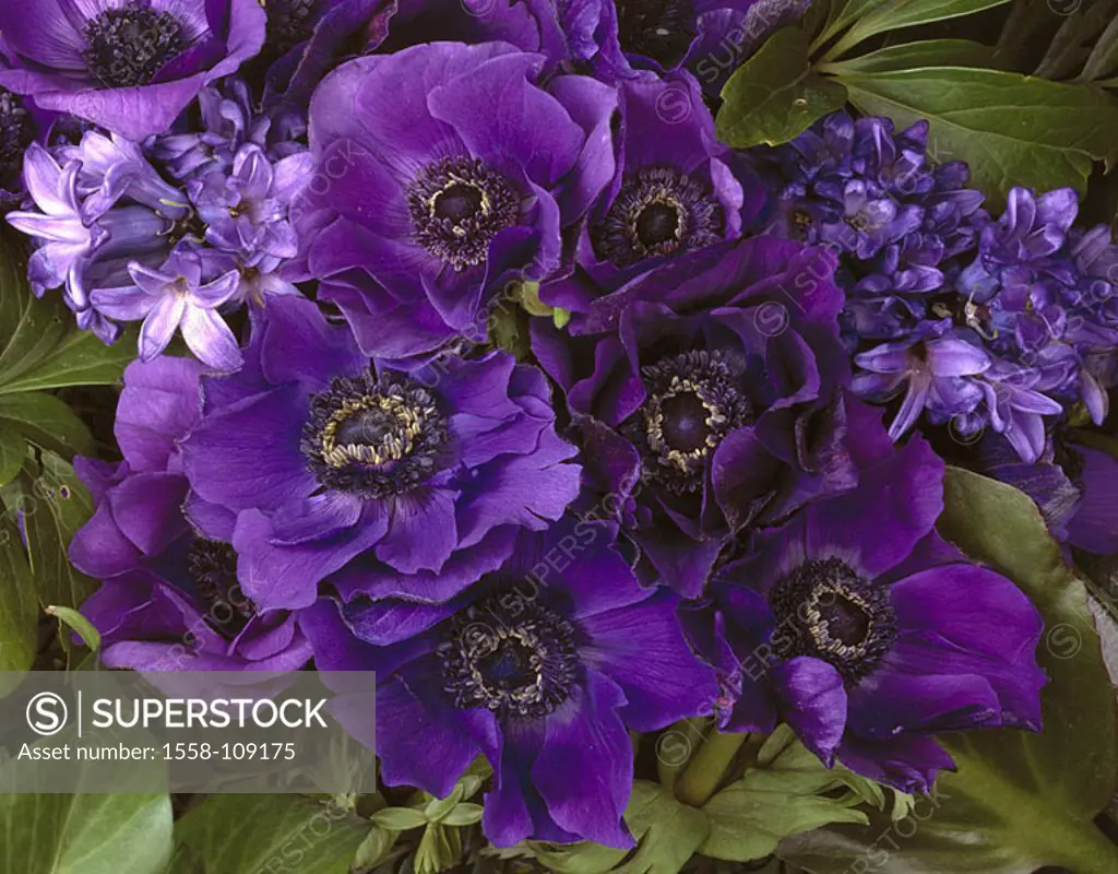 Flower-bouquet, anemones, hyacinths, blooms, purple, detail, plants, flowers, plants, flower-skeins, skeins, spring-flowers, spring-bouquet, symbol, F...