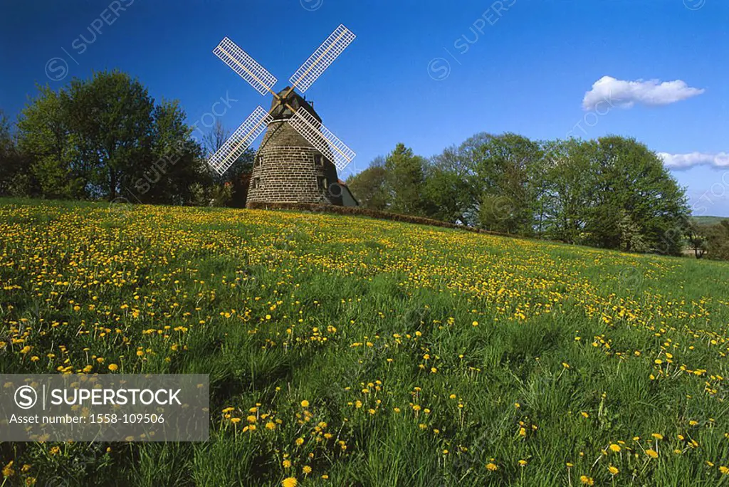 Germany, Lower Saxony, clear-mountain, windmill, spring, Schaumburger country, velvet-community, flower-meadow, spring-flowers, spring-meadow, mill, c...
