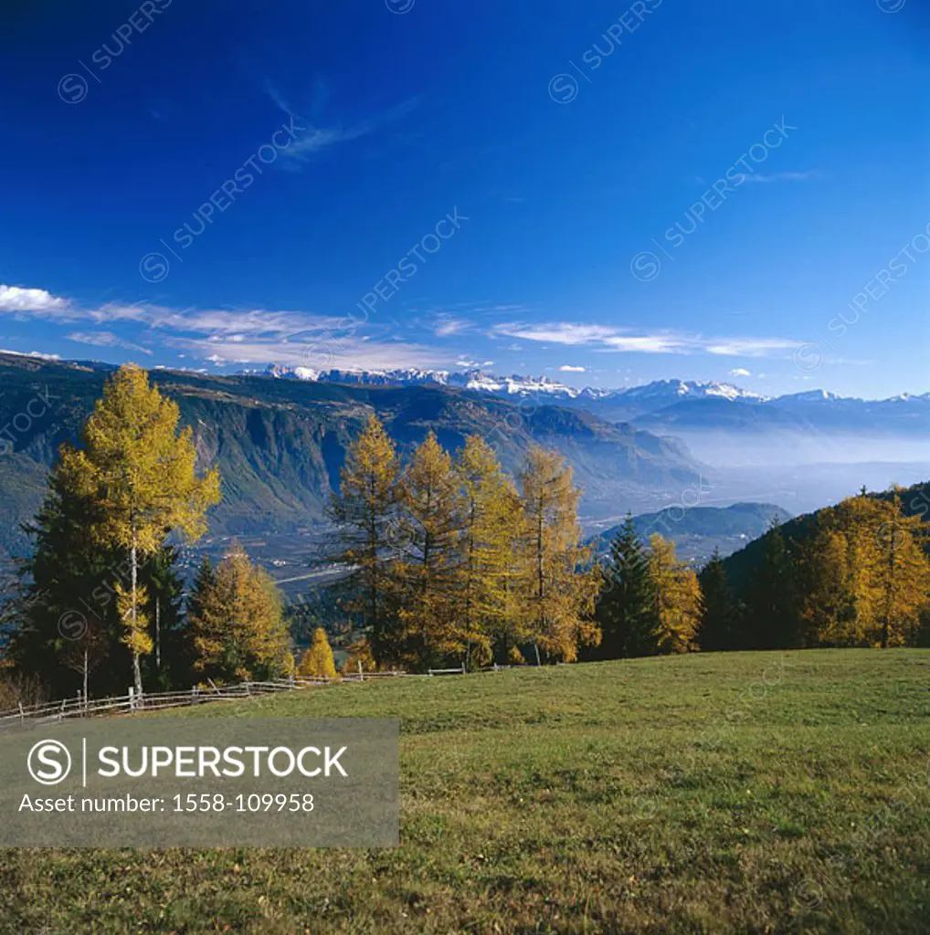 Italy, South-Tyrol, Völlan, view, Etschtal, Dolomites, autumn, Meraner country, above Lana, mountain-pasture, meadow, trees, autumnal, outlook, overvi...
