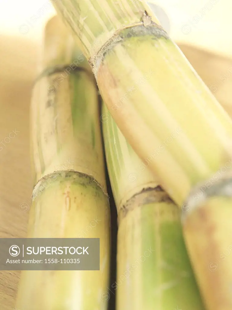 Sugarcane, Saccharum officinarum, detail, plant, sweet-grass, culture-plant, culture-type, useful plant, piece, stems, stalk, concept, sugar, tube-sug...