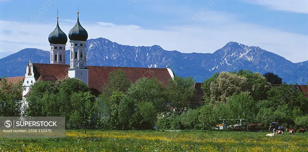 Germany, Bavaria, Benediktbeuern, cloister, spring, waiter-Bavaria, Alps-foreland, mountains, duke-stand, home-garden, Benediktinerabtei, St  Benedikt...