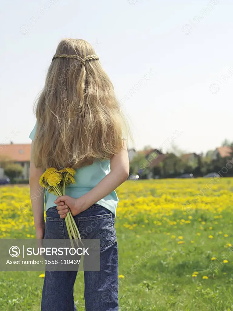 Girls, dandelion-bouquet, back-opinion, hold flower-meadow, people child 5-7 years blond, long-haired, however, childhood, stands, hides, flower-bouqu...