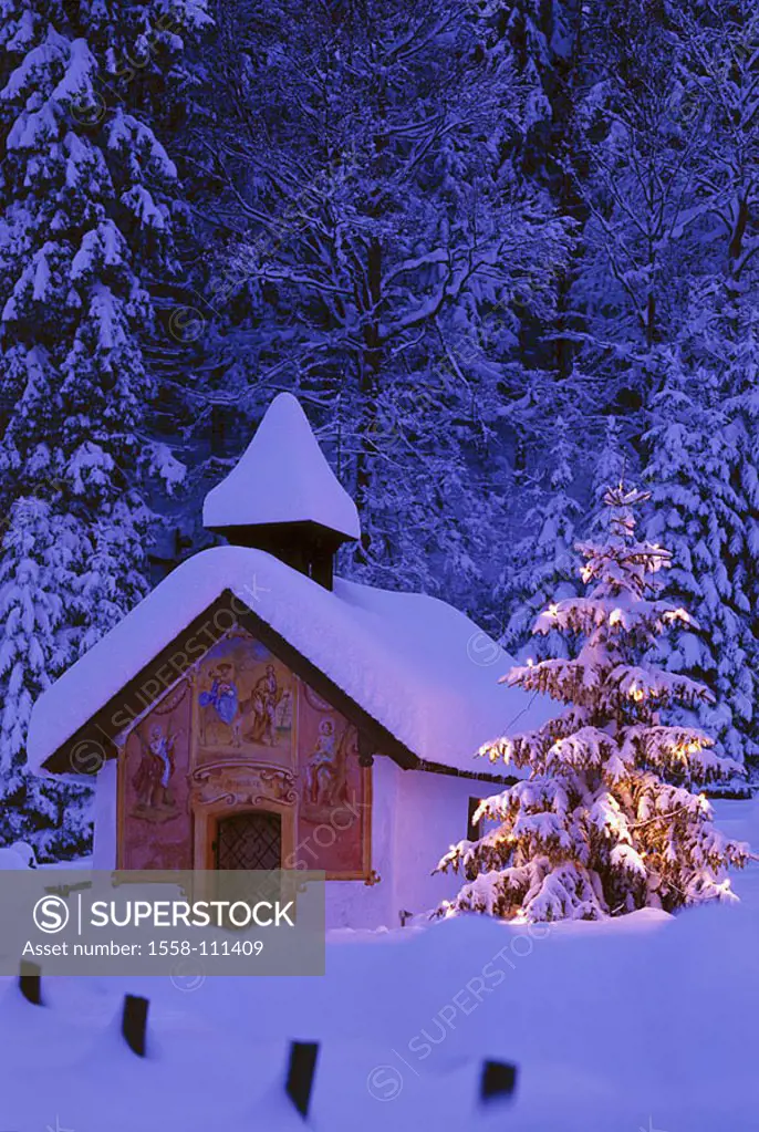 Germany, waiter-Bavaria, Elmau, chapel, Christmas-tree, illumination, twilight, winters, Bavaria, close to middle-forest, forest-edge, church building...