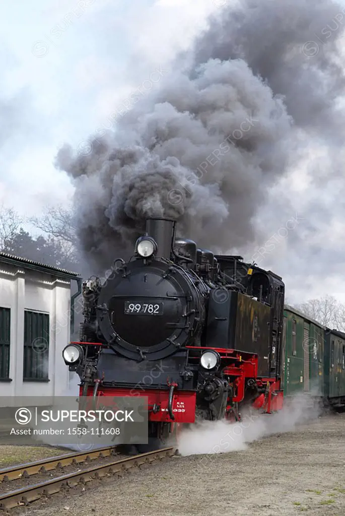 Railroad, steam-loco, steam, steam-cloud, steam, heavens, freight cars, supporters, rails, railway station, enormous Roland, Mecklenburg-Western Pomer...