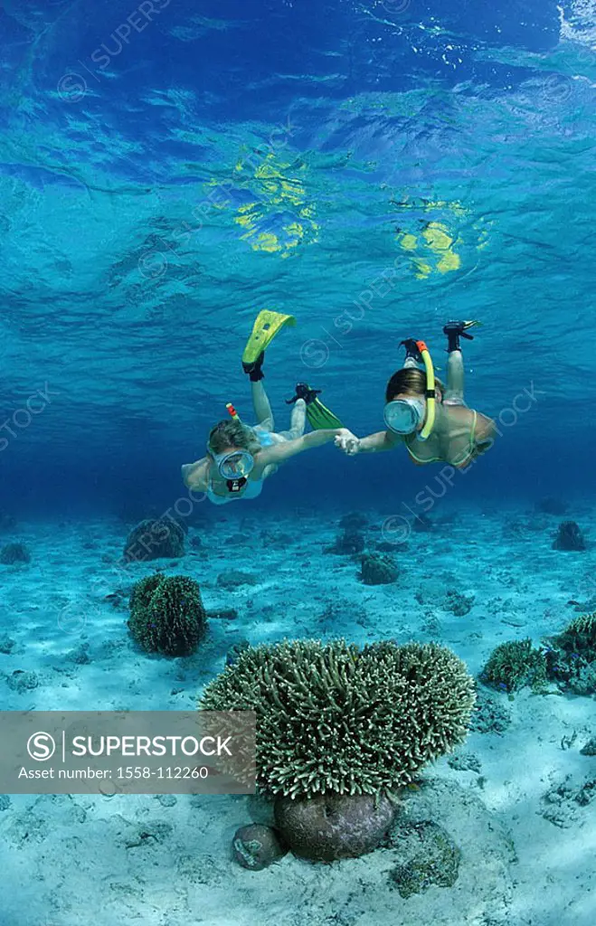 Bali, Indian ocean, women, snorkels, underwater-reception, sea, water, women, Schnorchlerinnen, hand in hand, water-sport, sport, hobby, leisure time,...