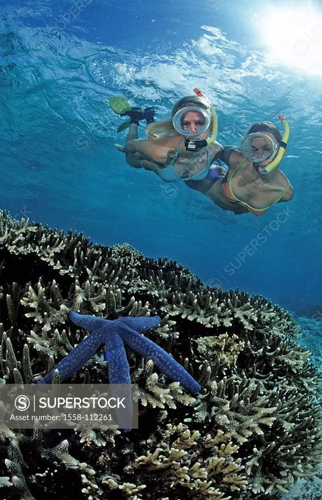 Bali, Indian ocean, underwater-reception, women, starfish, snorkel admires, sea, water, women, Schnorchlerinnen, water-sport, sport, hobby, leisure ti...