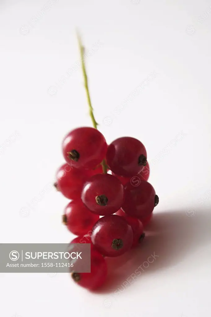 Red currants, Ribes rubrum, food, fruit, fruits, summer-fruit, berry-fruit, edible, berry-fruits, red, gooseberry-plants, Rispe, Johanisbeer-Rispe, so...
