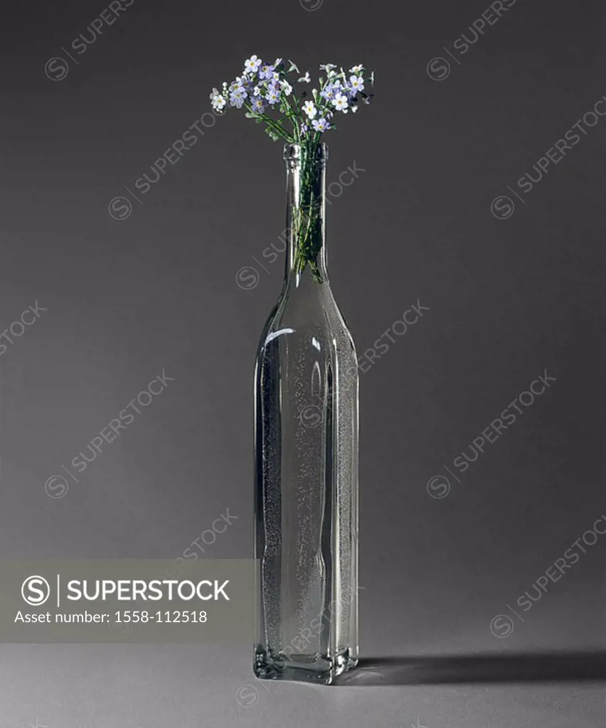 Bottle, flowers, forget-me-not, glass-bottle, plants, garden-plants, ornament-plants, blooms, posies, concept, affection, memory, tenderness, love, gi...