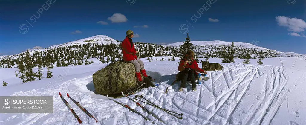 Norway, Buskerud, Vikerfjell, winter-landscape, rests Loipe, long-runners, dog, rest, South-Norway, landscape, hill-landscape Langlaufloipe people wom...