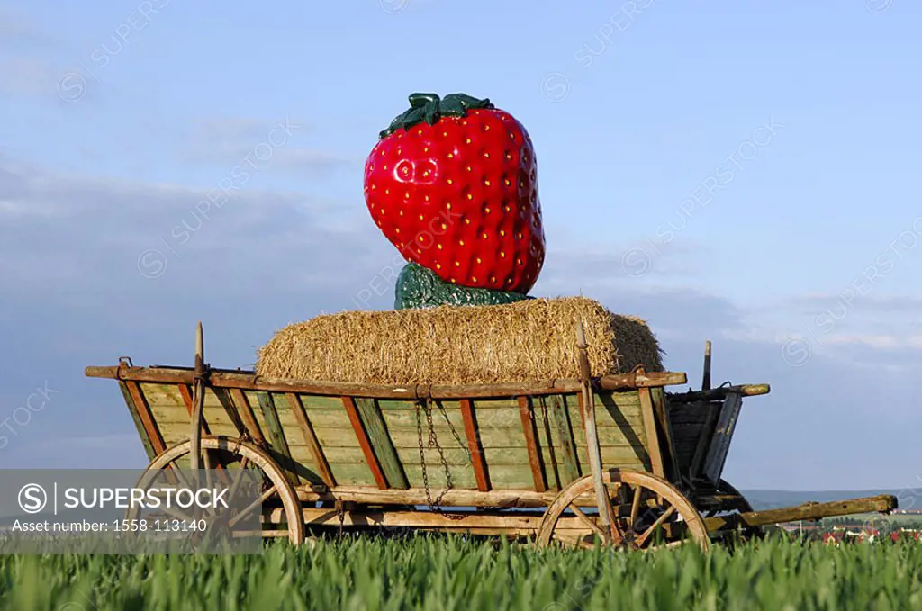 Field-landscape, wood-cars, straw-bale, strawberry, oversize, artificially, field, useful plants, decoration, cars, hint, attention, strawberry-field,...