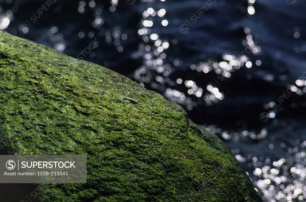 Sea, water, light-reflection, shores, rock, mossy, close-up, coast, waters, sea, stone, moss, nature, moss-grows over symbol, contrast rock roughly, f...