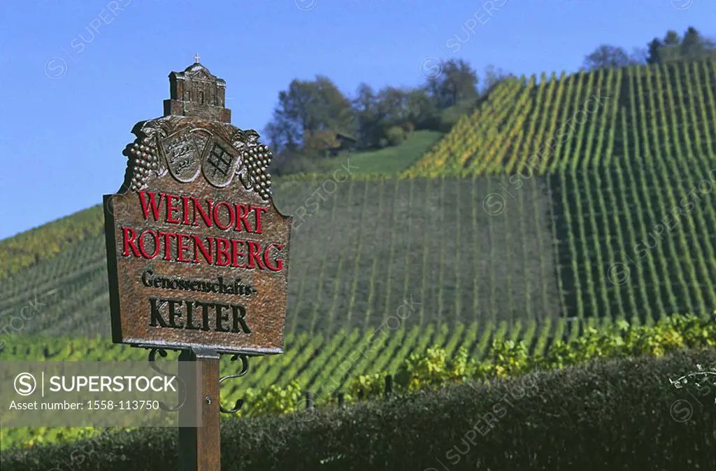 Germany, Baden-Württemberg, Rotenberg, vineyard, sign, wine-growing-area, wine-growing, cultivation, wine, grapevines, grapes, grapes, useful plants, ...