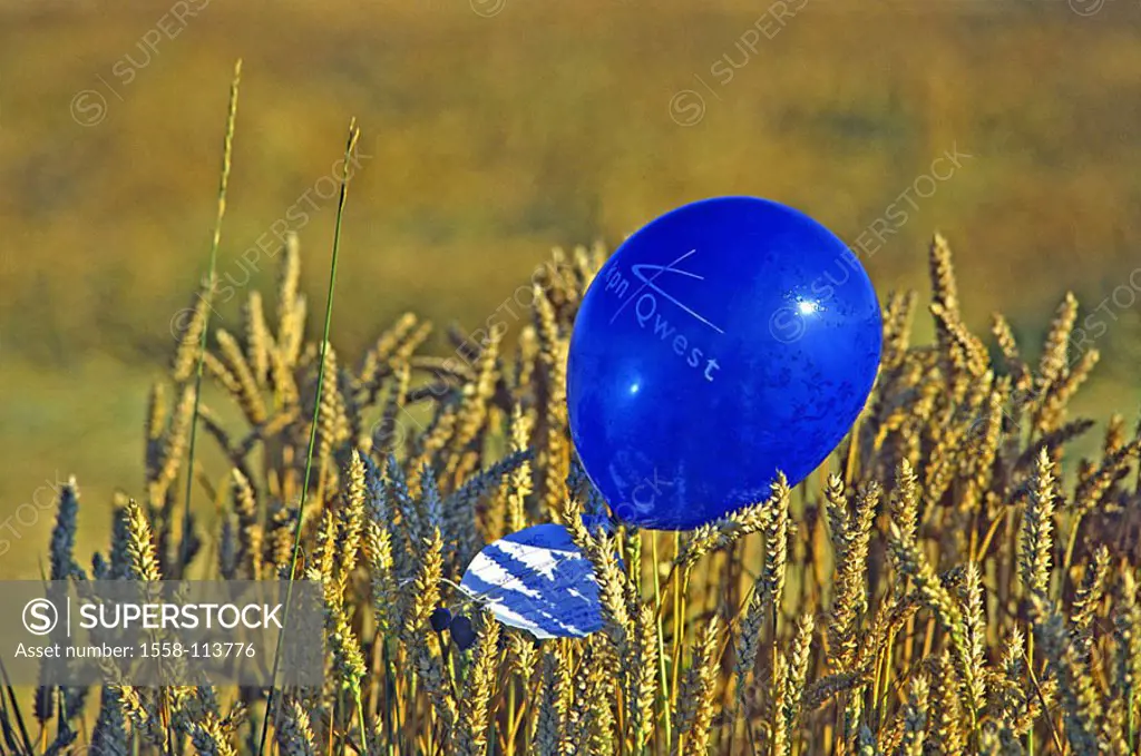 Grain-field, detail, heads, balloon, blue, grain-cultivation, grains, wheat-field, wheat, wheat-heads, symbol, balloon-competition, airmail, ease, con...