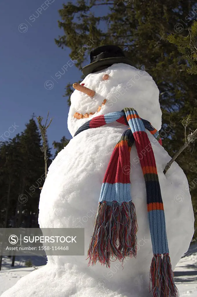Forest, snowman, winters, snow-figure, childhood, cold, figure, stale, hat, snow, homemade, cheerfully, season, fact-reception, symbol, wintertime, wi...