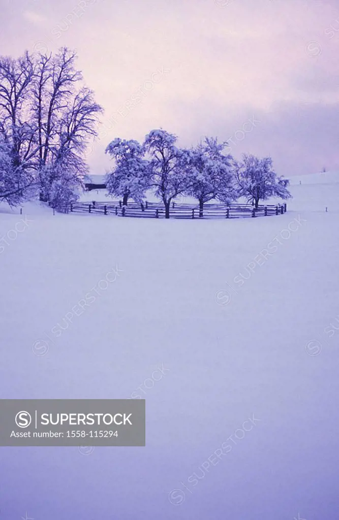 Winter-landscape, twilight, nature, landscape, fence, trees, tree-group, snow, snow-covered, gotten snowed in, season, winters, wintry, snow-surface, ...