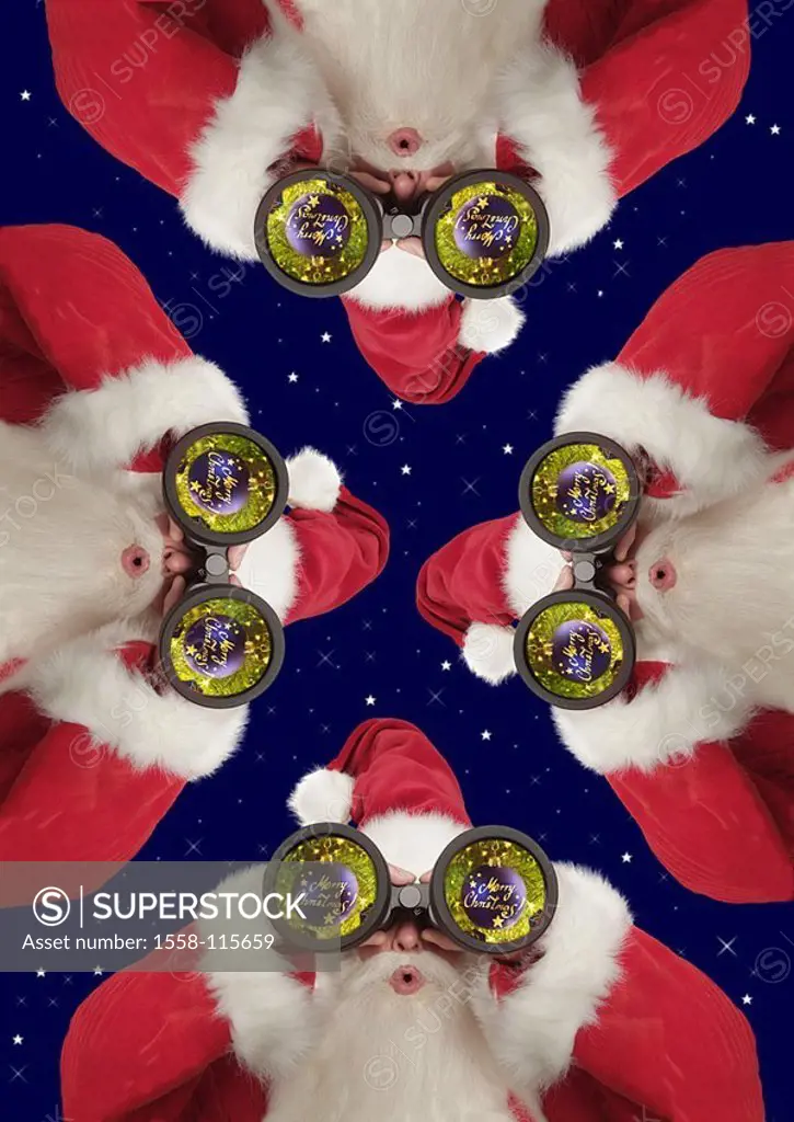 Christmas, Santa Claus, binoculars, are amazed gaze detail ´Merry Christmas´ Composing, Christmas time, ball Advent, night-heavens, Christian-tree hea...