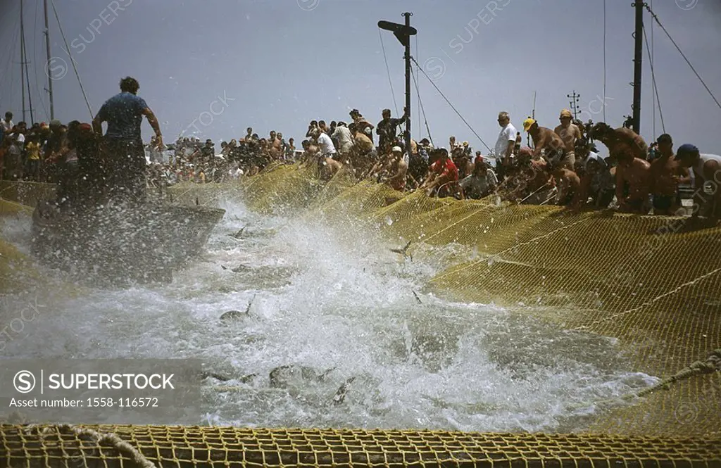 Italy, Sicily, island Favignana, tuna-hunt ´Mattanza´ Fisher Boot net, catches up, no mr, province Trapani, Ägadische islands, economy, fishery, fish,...