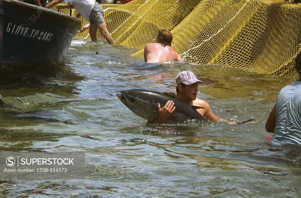 Italy, Sicily, island Favignana, tuna-hunt ´Mattanza´ boat net fishers water, tuna, no mr, province Trapani, Ägadische islands, economy, fishery, fish...