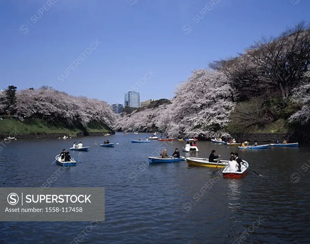 Japan, Tokyo, Chidorigafuji park, sea, rowboats, cherry tree-bloom, Asia, Eastern Asia, capital, park, water, boats, people, Asians, recuperation, Nah...