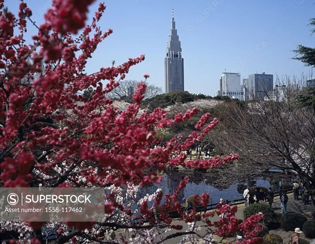 Japan, Tokyo, city-opinion, Shinjuku Gyoen park, cherry tree-bloom, visitors, Asia, Eastern Asia, capital, park, people, Asians, recuperation, Naherho...