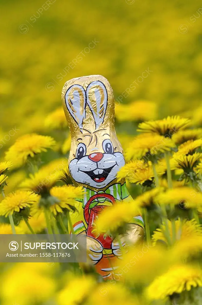 Dandelion-meadow, Schokoosterhase, series, meadow, dandelion, blooms, Easter bunny, symbol, Easter, chocolate-hare, chocolate, packed, packs, sweet, c...