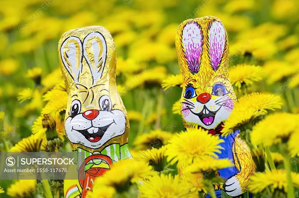 Dandelion-meadow, Schokoosterhasen, detail, series, meadow, dandelion, blooms, Easter bunnies, symbol, Easter, chocolate-hares, chocolate, packed, pac...