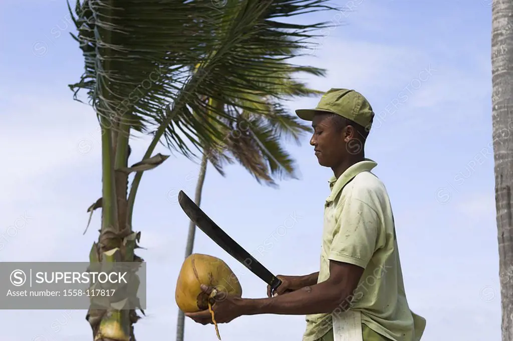 Caribbean, native, machete, coconut, opens, detail, at the side, , series, people, people of color, fruit sign-cap, knives, brags, hits, symbol, cocon...