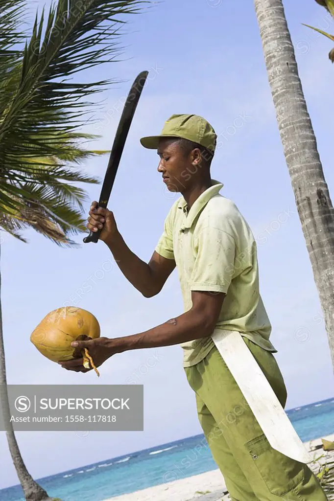 Caribbean, native, machete, coconut, opens, detail, at the side, , series, people, people of color, fruit sign-cap, knives, brags, hits, symbol, cocon...
